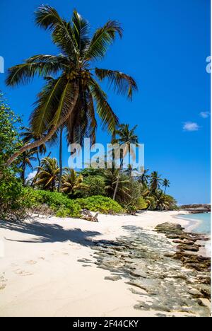 Geographie / Reisen, Seychellen, Mahe, Anse Forbans, Strand mit Granitfelsen, Zusatz-Rights-Clearance-Info-Not-available Stockfoto