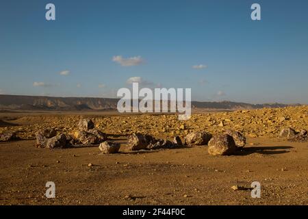 Israel, Negev Wüstenlandschaft. Das Bulbus Felde vor dem Mount Zin. Bulbus ist ein arabischer Name für Kartoffeln. Diese kartoffelförmigen Felsen sind foun Stockfoto