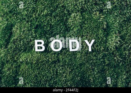 Wort Körper auf Moos, grünes Gras Hintergrund. Draufsicht. Speicherplatz kopieren. Banner. Biophilie-Trend. Naturkulisse. Körper, Geist, Geist und Seele Konzept Stockfoto