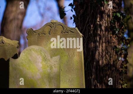 Verlassene jüdische Friedhof in Skwierzyna, Polen. Nahaufnahmen auf dem Matzevot. Ein Foto, das an einem sonnigen Tag aufgenommen wurde Stockfoto