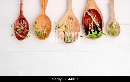 Microgreens in Holzlöffel Stockfoto