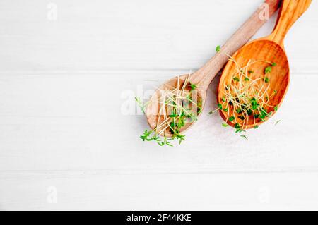Microgreens in Holzlöffel Stockfoto