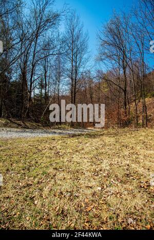 Pfad mit Bäumen und Gras um während des frühen Frühlings Tag In Bergen mit klarem Himmel Stockfoto