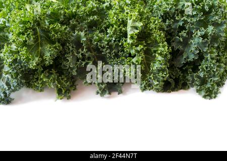 Draufsicht. Kale Blätter auf weißem Hintergrund. Hintergrund von Grünkieferblättern. Frischer Grünkohl hinterlässt den Hintergrund. Nahaufnahme mit Textur-Grünkohl. Stockfoto