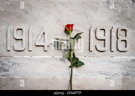 Einzelne rote Rose Blume stand auf weißem Marmor Weltkrieg gedenkstatue 1914 bis 1918 erste und zweite Gedenkmohnblume Tag Veteranen Jahrestag Stockfoto