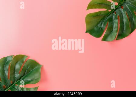 Palmenblätter auf rosa Hintergrund. Kreatives Minimal-Sommerkonzept. Stockfoto