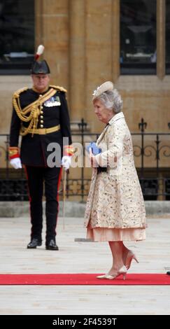 29. April 2011. Westminster Abbey, London, England. Königlicher Hochzeitstag. Margaret Rhodes, Königliche Hoheit der Cousine und persönliche vertraute Ankunft in Westm Stockfoto