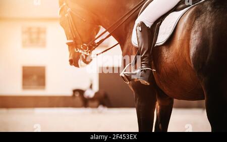 Ein schönes Lorbeerpferd mit einem Reiter im Sattel trabelt auf einer sandigen Außenarena, und ein anderer Reiter mit einem Pferd trainiert im Hintergrund. S Stockfoto