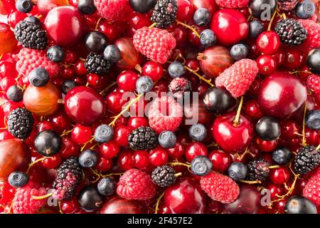 Hintergrund von frischen Beeren und Früchten. Reife rote Johannisbeeren, Heidelbeeren, Maulbeeren, Stachelbeeren, schwarze Johannisbeeren und Himbeeren. Gemischte Beeren und Früchte Stockfoto