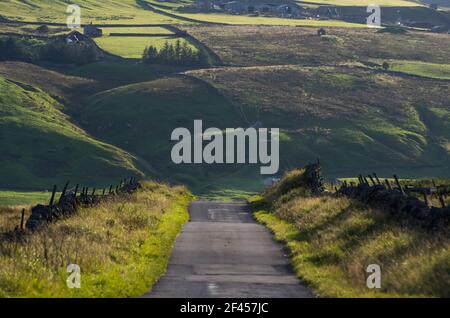 Eine hügelige Landstraße im September in Weardale, The North Pennines, County Durham, Großbritannien Stockfoto