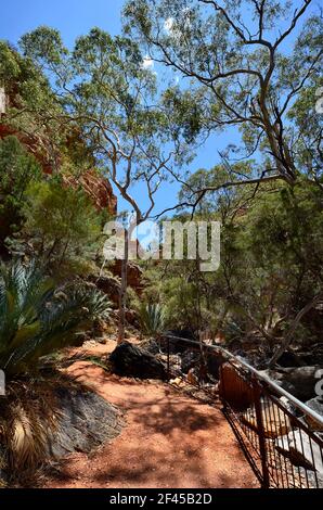 Australien, NT, Fußweg nach Standley Chasm im McDonnell Range Nationalpark Stockfoto