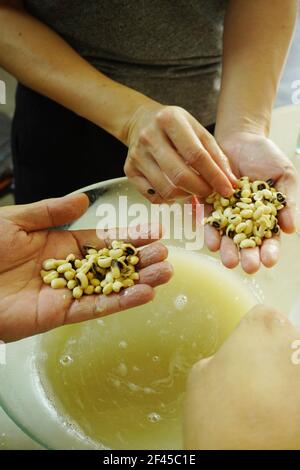 Tempeh oder tempe ist ein traditionelles indonesisches Sojaprodukt, das aus fermentierten Sojabohnen hergestellt wird. Tempeh beginnt mit ganzen Sojabohnen, die durch aufgeweicht werden Stockfoto