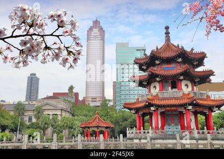 Frühling in Taipeh. Frühling Kirschblüten in der Stadt Taipei, Taiwan. Stockfoto