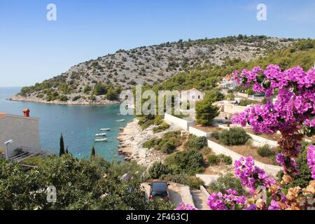 Urlaub Stadt in Kroatien - Razanj, Dalmatien. Kroatien Sommer mit Bougainvillea blühenden Blumen. Stockfoto