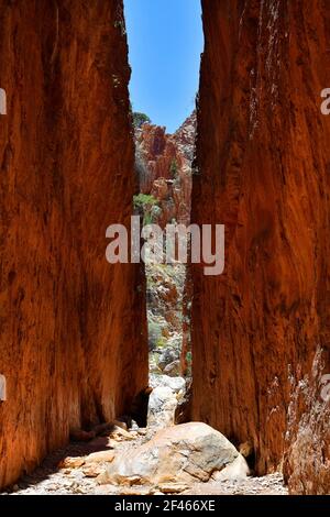 Australien, NT, bemerkenswerte Standley Chasm in McDonnell Range National Park Stockfoto