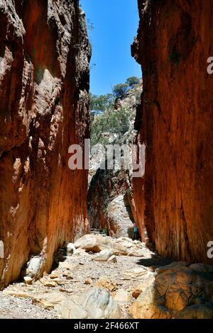 Australien, NT, Frau machen Fotos in bemerkenswerten Standley Chasm im McDonnell Range Nationalpark Stockfoto