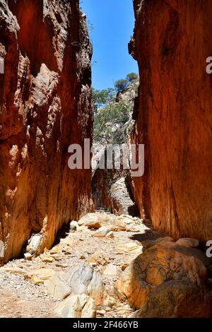 Australien, NT, bemerkenswerte Standley Chasm in McDonnell Range National Park Stockfoto