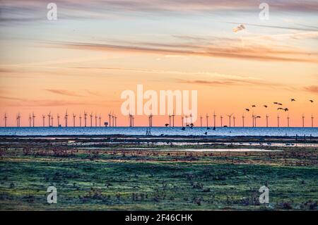 Sonnenuntergang auf Offshore-Windturbinen Park oder Windkraftanlage. Ökologischer Küstenwindpark zur Stromerzeugung vor Kopenhagen in der Ostsee Stockfoto