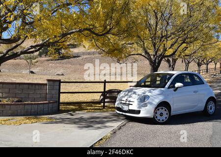 Herbstlandschaft mit einem Fiat 500, der unter den goldenen Ahornbäumen in Alpine, San Diego, Kalifornien, USA, geparkt ist. Stockfoto