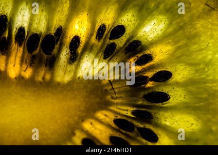 In Scheiben geschnittene Kiwis mit Hintergrundbeleuchtung auf schwarzem Hintergrund Stockfoto