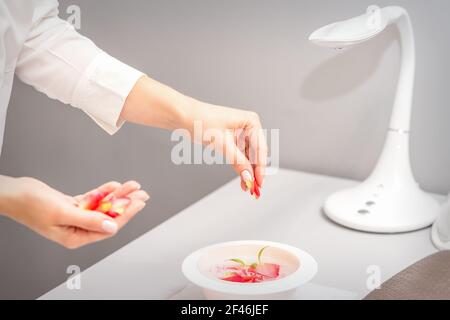 Die weiblichen Hände der Kosmetikerin bereiten das Maniküre-Bad mit Rot und Rosa vor rosenblüten auf dem Tisch im Spa Stockfoto