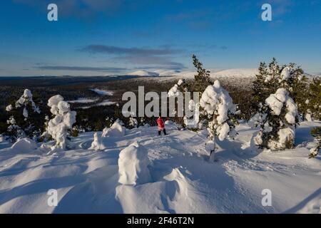 Luftdrohne Blick über Santa Blick auf die Pallastunturi Fells, in den Winterwäldern von Lappland, Finnland Stockfoto