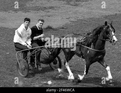 Zwei junge Männer, die 2001 in Bilston West Midlands, Großbritannien, auf ihrem Gypsy-Rennpferd und ihrem Karren reiten. Großbritannien sulky Racing Mann männlich romany Teenager Teenager Teenager Stockfoto