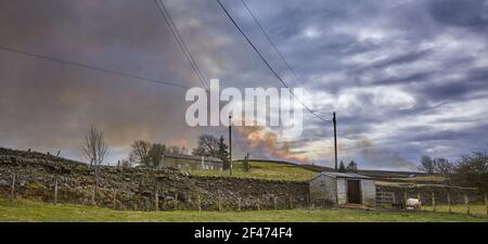 Heidekraut brennt auf Moor in Yorkshire bei 900ft Stockfoto