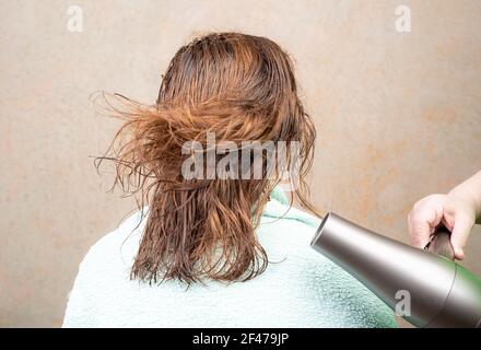 Trocknen von nassem Haar mit einem elektrischen Handtrockner. Haare flattern an heißer Luft. Haarpflege. Stockfoto