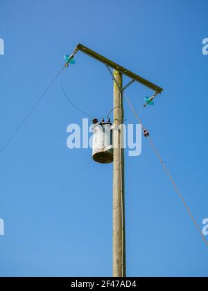 Ein am Mast montierter Abstufungstransformator am Ende eines Durchlaufs von 11kV 2-phasigen Deckenkabeln in einem ländlichen Raum in Somerset, England. Stockfoto