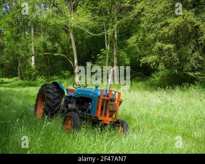 Ein alter Fordson Super Major Dieseltraktor im langen Gras auf einer Waldlichtung. Stockfoto