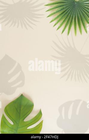 Sommer-Konzept mit natürlichen grünen tropischen Blatt Schatten auf Sandfarbe Hintergrund gemacht. Minimale vertikale kreative flache Lage mit Baumblatt. Stockfoto