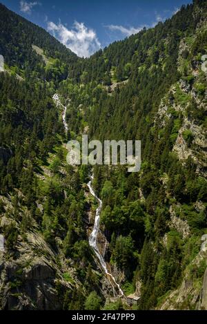 Fontalba Wasserfall im Sommer (Núria Tal, Katalonien, Pyrenäen, Spanien) ESP: Barranco de Fontalba en verano (Valle de Núria, Cataluña, Pirineos) Stockfoto