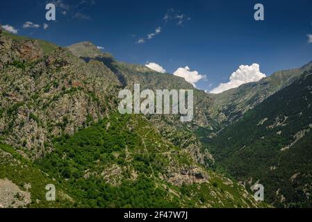 Núria-Tal im Sommer (Ripollès, Katalonien, Spanien, Pyrenäen) ESP: Valle de Núria en verano (Ripollès, Cataluña, España, Pirineos) Stockfoto