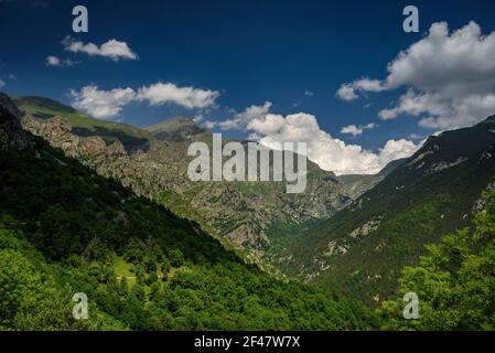 Núria-Tal im Sommer (Ripollès, Katalonien, Spanien, Pyrenäen) ESP: Valle de Núria en verano (Ripollès, Cataluña, España, Pirineos) Stockfoto