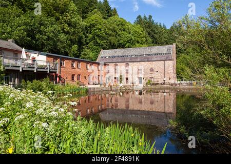 Das Dean Heritage Centre im Forest of Dean in Lower Soudley, Gloucestershire, Großbritannien Stockfoto