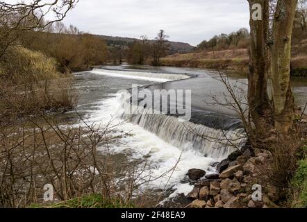 Warleigh Weir fotografiert im März ohne Menschen anwesend, Claverton, Bath, Somerset, England, VEREINIGTES KÖNIGREICH Stockfoto