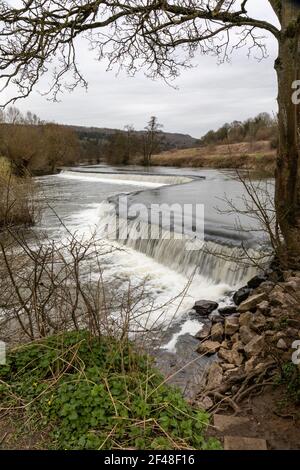 Warleigh Weir fotografiert im März ohne Menschen anwesend, Claverton, Bath, Somerset, England, VEREINIGTES KÖNIGREICH Stockfoto