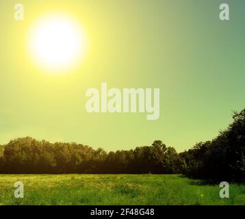 Große weiß-gelbe Sonne über einem grünen Feld und Wald. Sommer schöne Landschaft Stockfoto
