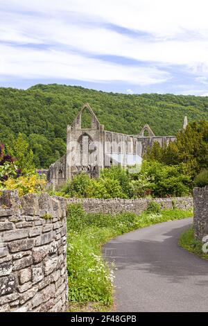 Tintern Abbey im Wye Valley, Monmouthshire, Wales, UK Stockfoto