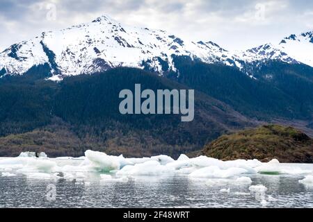 Kleine Eisberge, auch bekannt als Bergy Bits und Growler, schwimmend in Mendenhall See am Fuße des McGinnis Mountain in der Nähe von Juneau, Alaska Stockfoto