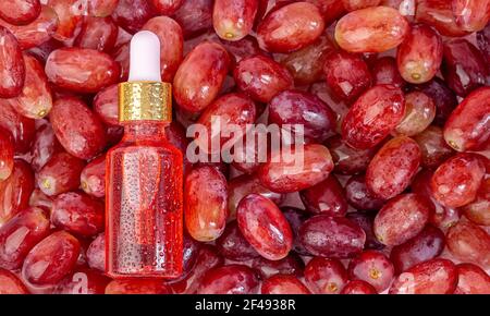 Traubenkernöl in einer Flasche, liegt auf den Beeren der roten, frischen, saftigen Trauben. Stockfoto