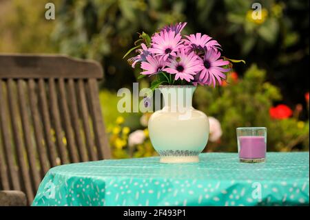 Gartentisch im Freien mit Bouquet von lila Cape marguerite (Dimorphotheca ecklonis) Blumen in weißer Vase. Stockfoto