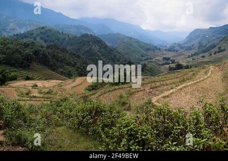 Reis terrassierte Felder auf dem Hintergrund der Talblick. Traditionelle ländliche vietnamesische Landschaft in den Bergen. Sa Pa, Vietnam. Stockfoto