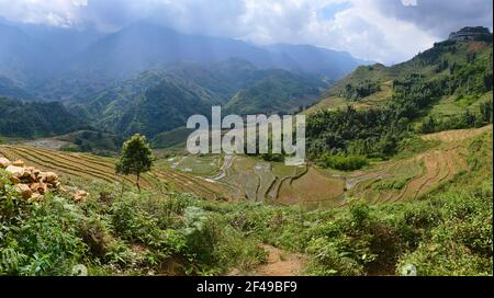 Weite Panoramasicht auf Reisterrassen in den Bergen bei Sa Pa. Wolken über Bergkette. Vietnam. Stockfoto