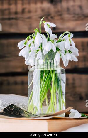Schneeglöckchen in einer Glasvase. Erste Frühlingsblumen Stockfoto