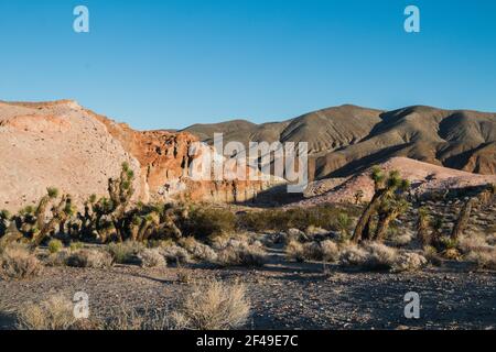 Eine malerische Aussicht auf den Red Rock Canyon im Mojave Wüste Stockfoto