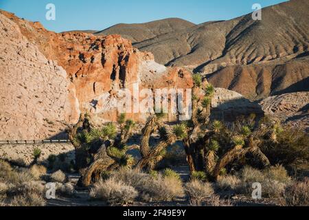 Eine malerische Aussicht auf den Red Rock Canyon im Mojave Wüste Stockfoto
