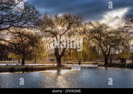 Die Kraft der Sonnen strahlt, während sie durchbricht Der Regen Wolken bei Sonnenaufgang, wenn auf öffentlichen oder privaten Eigentum Ich bin bereit, volle verantwortung zu übernehmen Stockfoto