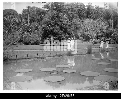 Buitenzorg (Bogor), Java / Indonesien. Botanischer Garten (1817, K. G. K. Reinwardt). Touristen an einem Teich mit Victoria Regia Stockfoto